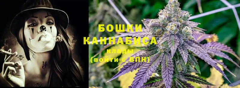 Канабис White Widow  Тайга 